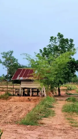 ចាញ់ស្នេហ៍នៅជីក្រែង#បទចម្រៀងមនោសញ្ជេតនា💯🥀💔😰😢#ដោយលោកសួន ប៊ុនសំ