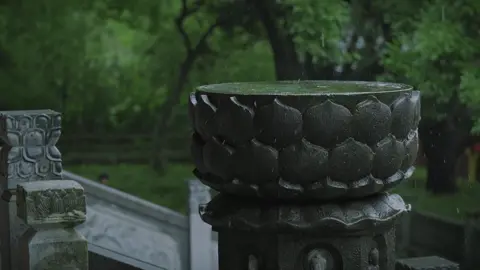 Ưu Đàm... #phatphap #tinhtam #chill 