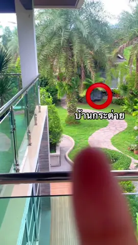 น้องมีห้าตัน้าทุกคน น่ารักปุยมุ้ย  🐰🫶🏻🤍 #bu#bunnyร#กระต่ายน้อย🥕#fyp #fypy#foryou