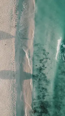 Some caribbean peace for you#beach #ocean #oceanview #beautifulplaces #travel #island #cinematic #filmmaker #natureaesthetic #drone #sunset 