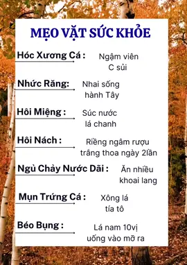 MẸO VẶT SỨC KHỎE !! #meovat#thuocquyquanhta#xuhuong