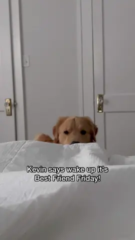 Do you know that having a pet helps you get fit, lower stress, and boosts your overall happiness and well-being? According to @American Heart, research shows the bond between humans and their pets can lead to better mental and physical health, which is definitely the case for me with Kevin and Jeffrey. How does caring for your pet impact the way you care for yourself? #bestfriendfridays #ahaambassador