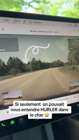 Ça vole en sale une dinde hein 🦃😬