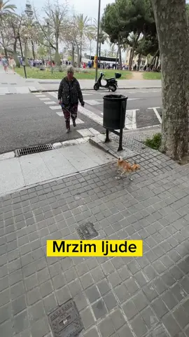 Pricam sa drugom nesto i tako razmisljam.. Da napravim part2 pricanja na glas? 😂