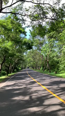 #videoperjalanan #pemandanganalam #naturehealingvibes #vibespagiaesthetic #storyestetik #videovibesestetik #jalanjalantraveling #amazingview #goodvibesmusic #healingvibes #storylaguestetik #vibesliburan #naturecinematic #videotenang #videoestetik #petualangan #musichealingvibes 