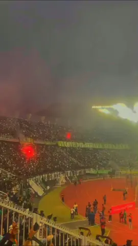 Terbanglah tinggi kau diangkasa #CapCut #greennordtribune #bonek #persebaya #fyp 