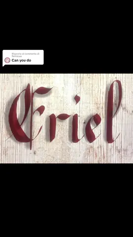 Risposta a @RetroLau  #calligraphy #calligraphywriting #calligraphie #caligrafía #calligrafia #lettering #nombresbonitos #escribotunombre #calligraphymasters #calligraphymasterintraining #handwritingvideos #cursivewriting #handwriting #names #procreate #procreatetutorials #procreatelettering #alphabet #eriel 