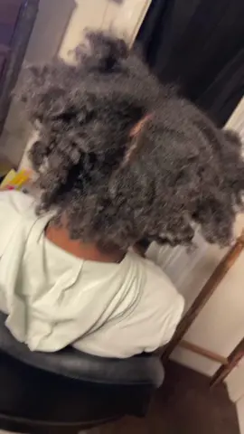 Kid friendly starter locs 😍😍! #starterlocs  #kidfriendly #Summer #fyp 