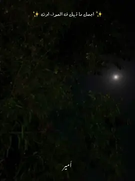 خليني اتفرج ع ندمك ❤️‍🩹#CapCut #fpy #fypシ #foryou #explore #tiktoklongs #احمد_سعد 