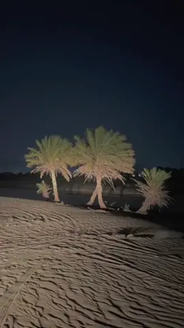 سعد-بن- جدلان                     #ليتني# مثل# النخل# مايجيب الاتمر#اكسبلوررررر#قصايد_شعر_خواطر#اك #الرياض #