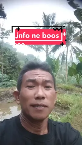 #ngapak#info#muatan#bos#abotentengsiap#boo#@banonkalfonso3 