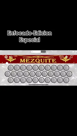 #fyp #parati #acordeon #mezquite #edicionespecial #enfocado 