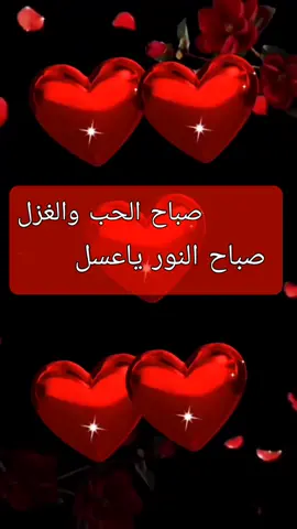 صباح الانوار للجميع 