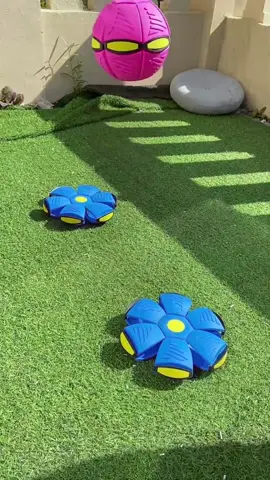 Magic Frisbee Ball#toys 