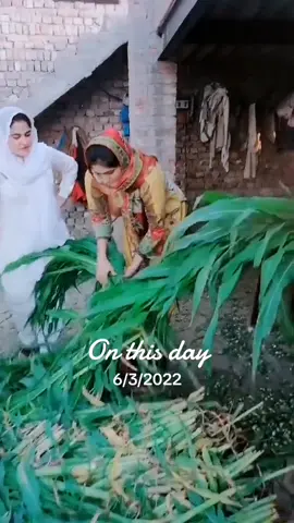 same day one year ago#onthisday #viral #foryoupage #standwithkashmir #foryou #azraimrantiktok #onemillionaudition #justforfun #princeimrantiktokofficial #imranmangat #azraimran51 