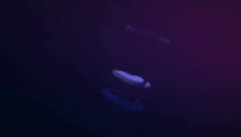 Yêu Vội Vàng Remix #huynam_05 #nhacthinhhanhtiktok #nhachottiktok #nhactrend #nhachottrend #nhachaymoingay 