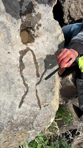 Treasure hunting 