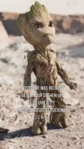 Frühschicht... #sprücheundzitate #tiktokgallerie #zitate #lustigevideos 