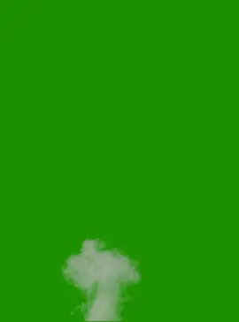 Smoke Green Screen #foryoupage #fyp #duet #viralvideos #trending #comedy #funnyvideos #tiktokchallenge #foryou 