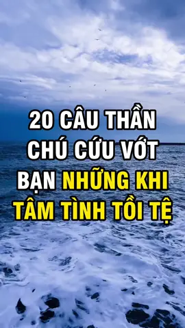 20 Câu thần chú cứu vớt bạn những khi tâm tình tồi tệ                                                      #baihoccuocsong #LearnOnTikTok #Xuhuong #HappyMindBooks #tuduytichcuc #chamngonsong 
