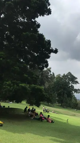 enak banget ya liat ijo-ijo gini #healing #bogor #alam #aesthetic #vibes #rekomendasitempathealing #mentahanvideo #videomentahan #storyinstagram #cibodas #kebunrayacibodas 