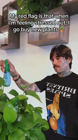 #plantdad #fypシ #suculentas #fy 