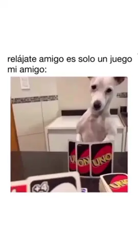 #videoschistosos #Momentoschistosos #Videoschidos #algorandom #yocuando #Memesrandom #cosasquedanrisas #videosgraciosos #Vídeoschistosos #Videosmuygraciosos #Memeschisyosos #5mentarios #Yoenestosmomentos #Memesparaestados #Videosrandom #ParaMandarlosAlv #Fraseschidas #Cómodijo 