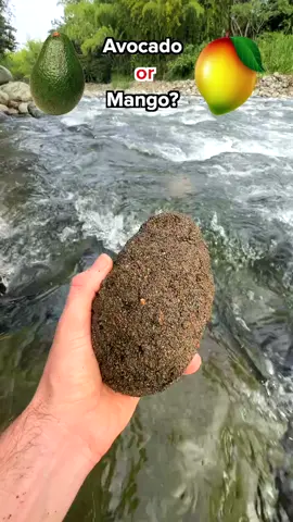 Can you guess the last item?! 😳