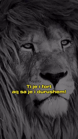 #thenjetebukura #thenjeteshpirtit #thenjemotivuese #thenjeshqip #dashurianeislam #fypシ #foryou #fyp #thenje #fyppp 