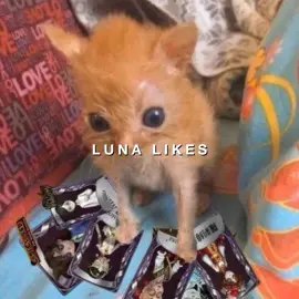 YIPEEE I LOVE THE COLOR GREEENNN!!! #capcut #cat #catto #fypシ #fyp #sillygoofy #pink #porpol #green #yipeeeeeeeeeeeeeeeeeeeeeeeeeee 