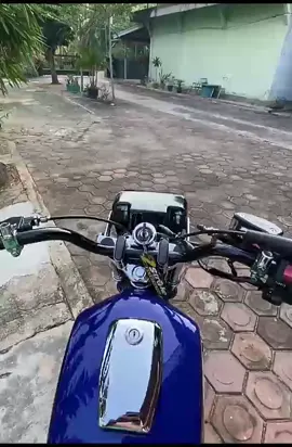 pagii
