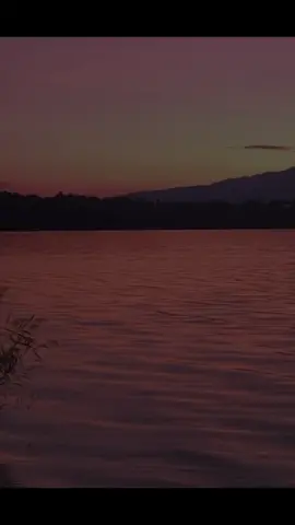 ﴿ أقم الصلاة لدلوك الشمس إلى غسق الليل وقرآن الفجر إن قرآن الفجر كان مشهودا ﴾ [ الإسراء: 78] #قران #quran #قران_كريم #قرآن #سعد_الغامدي #القران_الكريم 