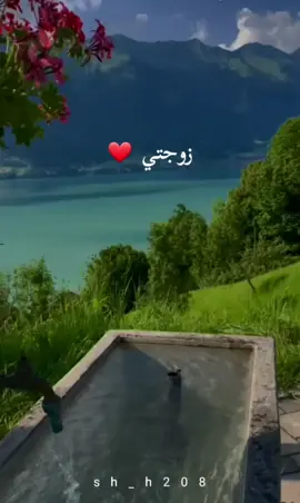 #زوجتي_الغالية #لايك_متابعه_اكسبلور #الصلاه_علي_النبي 