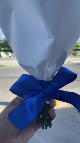 Ramo de 10 rosas eternas  Azul rey y azul cielo 💙💙😍 #rosaseternas #rosas #rosasdeliston #parati #campeche 