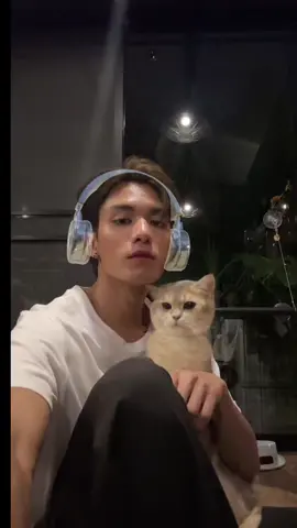 เห้อป๊ะป๊าาาาา5555555 #netsiraphop #ทาสแมว #แมวดื้อของฉัน #คลิปแมวในtiktok 