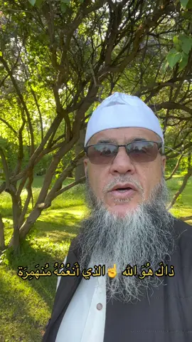 انظر لتلك الشجرة ذات الغصون النضرة#اكسبلور #foryou 