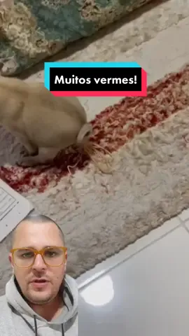 Infestação parasitária! 🐕 Ouça a breve explicação com o Prof. Dr. Atilio. Veterinário, Mestre e Doutor em Patologia. Professor de Medicina de Animais Selvagens, Patologia Animal e Fisiologia. #profatilio #animaisnotiktok #animal #animais #animals #natureza 