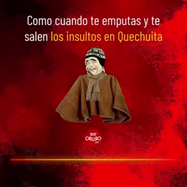 Última vez, sopla mocos phichilo q'ara uma 😡... 😆😆😆 ¡Qué riquito es insultar en quechuita oy! 😂😂🤣🤣 #fypシ #soyoruro #quechua #humor 