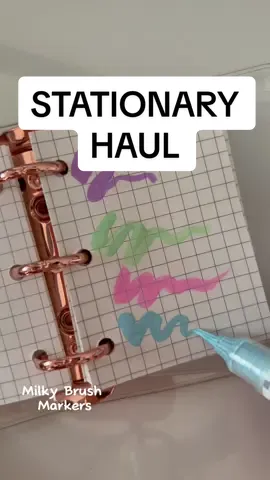 HAULER. my cravings are satisfied… for now #fyp #foryou #stationary #stationeryhaul #studentsectionsauce #studentlife #studytokaesthetic #stationerypal 