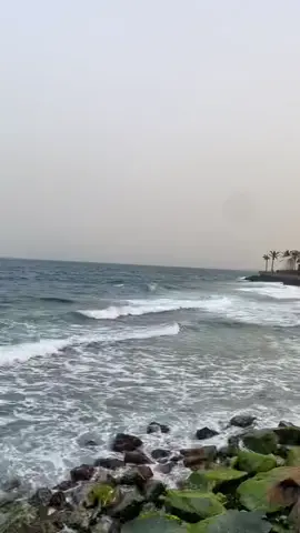 #محمد_عبده #اغاني #بحر #ابونوره 