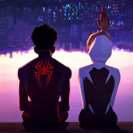 This song>>> #spidermanacrossthespiderverse #calling #callingmetroboomin