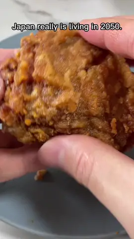 Japan food😍✨ #tokyo #coolnippon #karaage