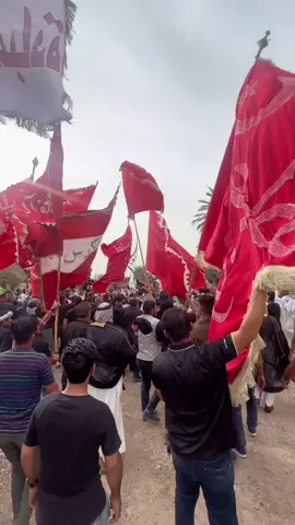 عراضات في ديوان زعيم قبيلة عباده الشيخ عادل العصاد العبادي #قبيلة_عبادة #آلبوضوي #العصاد #عمكم_ابو_عرب #بغداد #العراق #گيمو_ملگ_الساحهـ😎👑 