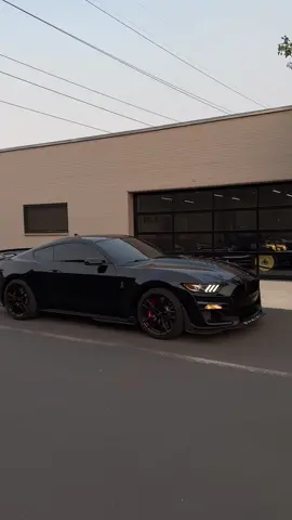 the shelby GT500 #fyp #carsoftiktok #mustang #carcommunity #viral #trend #foryou #shelby #gt500 #trending 