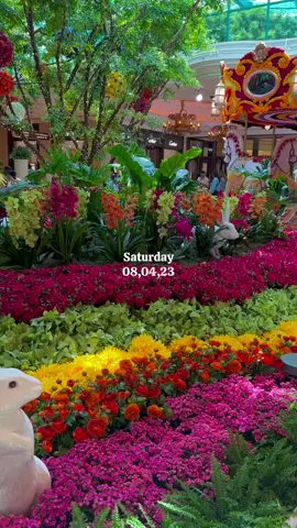 mini vlog cuz we miss it✨ #lasvegas #wynnlasvegas #vegasbaby #vegasvlog #minivlog #fypdongggggggg 