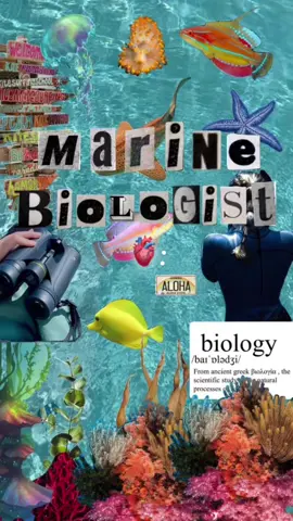 My dream job🫀🐚🪸🐬 #marinebiology #marinebiologist #marinelife #ocean #foryou #fyp 
