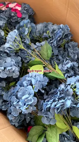 Hydrangea jumbo ada warna baru bebiesssss ❤️‍🔥🔥🫶🏻 #fypシ #fyp #bungagrosir #flowers #bungaartificialmurah #bungabucket #bungadekor #bungadekor #floristsoftiktok #wedding #bungakering #bungakering #bungadekorasimurah #bungaplastik #bungadekorasipernikahan #hantaran #bungaartificial #tanamanartificial #hydragea  