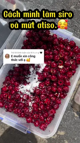 Trả lời @N h u n g 🖤  mn làm theo cthuc của mình thử nghen, bq dc lâu mà siro cũng đặc quánh, pha trà hoặc soda đều ngon lắm í 🥰#Moontea #tratraicaytuoitruongchinh #tratraicaytuoinhamoon #tramangcau #tranhietdoi #trathapcam #tracam #mangcau #dacthom #moontea #tratraicaytuoi #tradualuoi #LearnOnTikTok #mangcauxiem #trathom #travai #tramanhanoi #tradao #traoihong #viral 