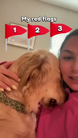 Sounds like these really hurt her feelings :/                     #goldenretriever #goldenretrieversoftiktok #redflags 