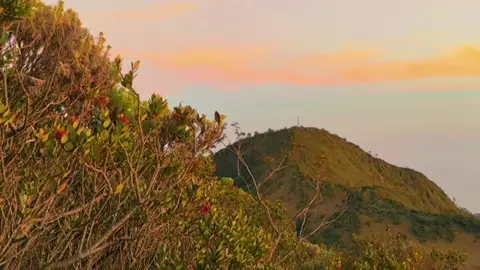 Mt lawu 🥰 #pendakiindonesia #lawumountain #lawuviacetho #pesonaindonesia #fyp 